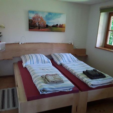 Bodensee Apartment Neukirch Wangener Strasse Екстер'єр фото